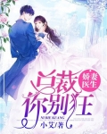 娇妻医生，总裁你别狂