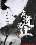 点道为止境界设定