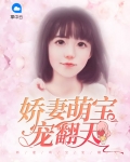 娇妻萌宝宠翻天百度云