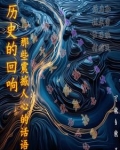 历史的回响为题作文