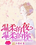 歌曲温柔的夜