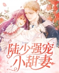 陆少强势宠婚全集免费阅读