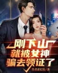 刚下山就被女神骗去领证了听书