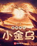 偷偷养只小金乌TXT下载精校版