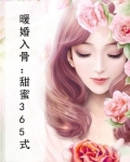 暖婚入骨:甜蜜365式