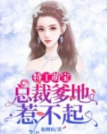 特工萌宝：总裁爹地惹不起