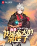 海贼之我变成了赤犬
