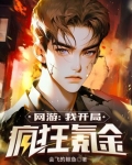 网游:我开局疯狂氪金