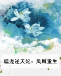 噬宠逆天妃：凤凰重生