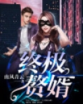 终极赘婿知乎免费阅读