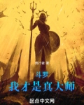 斗罗我才是真大师TXT下载