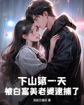 小说第一章下山是什么小说