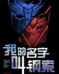 我的名字叫钢索下载