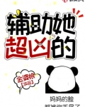 最凶辅助的小说