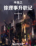 半岛之徐理事升职记