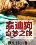 泰迪狗奇妙之旅