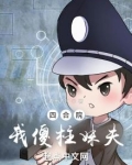 四合院我傻柱妹夫