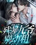 诱她入怀残暴九爷别动粗未删减版