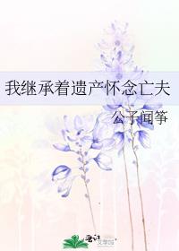 我继承着遗产怀念亡夫 小说