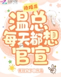 隐婚后温总每天都想官宣TXT