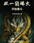 从一团土开始进化小说