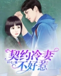 契约冷妻不好惹