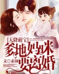 天降萌宝:爹地,妈咪要离婚