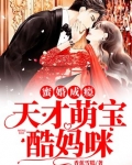 蜜婚成瘾：天才萌宝酷妈咪