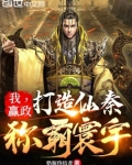 我,赢政:打造仙秦,称霸寰宇txt