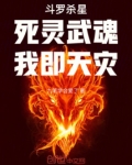 斗罗杀星死灵武魂我即天灾免费阅读