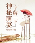 神秘老公小萌妻免费阅读