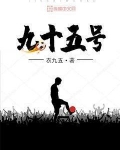 九十五号小说