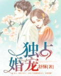 独占婚宠