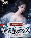 穿越西汉之萧楚风云录 小说