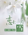 恋上一片雪小说全文阅读