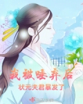 我被唾弃后,状元夫君暴发了