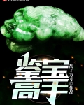 鉴宝高手潘小强免费阅读