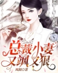 总裁小妻又飒又狠陆心染小说