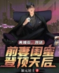 离婚后,我送前妻闺蜜登顶天后