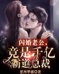 闪婚老公竟是千亿霸道总裁陆晚晴免费阅读