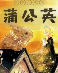 斗罗之我是风神