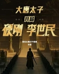 大唐开局震惊李世民 小太