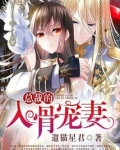总裁的入骨宠妻