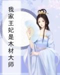 我家王妃是木材大师