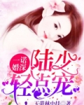 一诺婚深：陆少，轻点宠