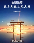 全职法师:我本无意次元王座小说免费