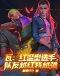 红瓦与红瓦黑瓦