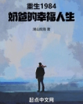 重生奶爸系列小说排行榜