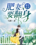 重生九零:肥妻,要翻身全文免费阅读