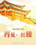 再见红楼梦